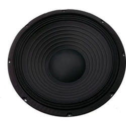 Skytec SP1000 Haut-parleur 10 pouces (25 cm) - 250 Watts max Suspension dure Bobine résistante à la chaleur Aimant ventilé