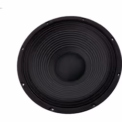 SkyTec SP1200 - Haut-parleur 12 pouces (30 cm) 300 Watts