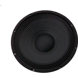 SkyTec SP1200 - Haut-parleur 12 pouces (30 cm) 300 Watts