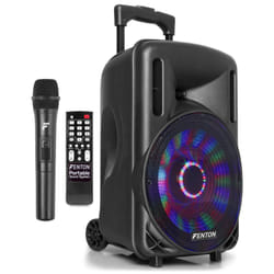 Fenton FT10LED Noir 450 W
