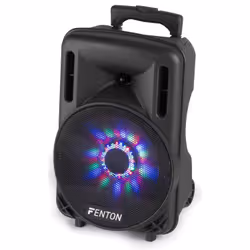 Fenton FT10LED Noir 450 W
