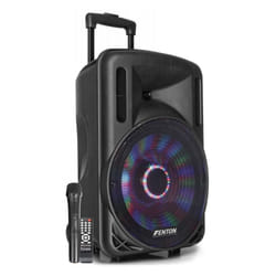 Fenton FT12LED Noir 700 W