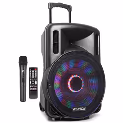 Fenton FT15LED Noir 800 W