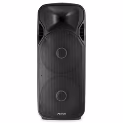 Fenton FT215LED Noir 1600 W