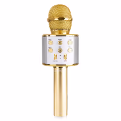 Max KM01G Or Microphone de karaoké