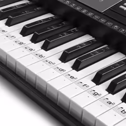Max KB-KEY autocollant décoratif Transparent Amovible 61 pièce(s)
