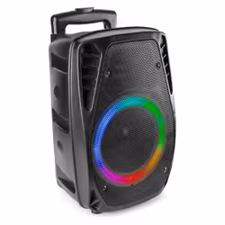 Fenton FT8LED-MK2 Noir 300 W