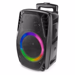 Fenton FT8LED-MK2 Noir 300 W