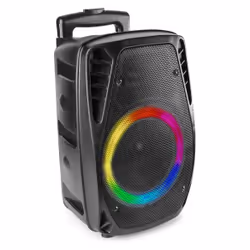 Fenton FT8LED-MK2 Noir 300 W - Vue supplémentaire 4
