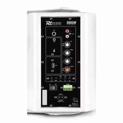 Power Dynamics DS65MW haut-parleur 2-voies Blanc Avec fil &sans fil 60 W