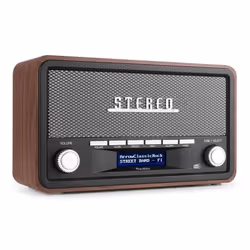 Audizio FoggiaGR, Portable, Numérique, DAB+, FM, Auto scan, 50 W, LCD