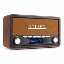 Audizio FoggiaCU, Portable, Numérique, DAB+, FM, Auto scan, 50 W, LCD