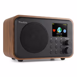 Audizio Vicenza WD, Internet, Numérique, DAB+, 30 W, TFT, 6,1 cm (2.4")