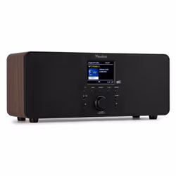 Audizio Genua WD, Internet, Numérique, DAB+, FM