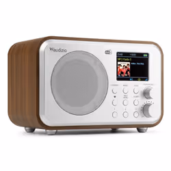 Audizio Milan, Portable, Analogique et numérique, DAB+, FM, Auto scan, 30 W, TFT
