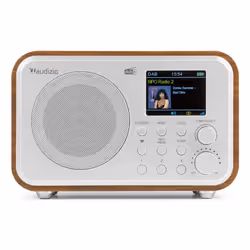 Audizio Milan Portable Analogique et numérique Marron, Argent