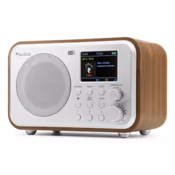 Audizio Milan Portable Analogique et numérique Marron, Argent