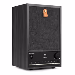 Audizio Canzo Radio Internet WiFi avec DAB/FM et Bluetooth - Gris Radio au Design Rétro Panneau Amovible