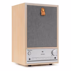 Audizio Canzo Radio Internet WiFi avec DAB/FM et Bluetooth - Bouleau Radio au Design Rétro Panneau Amovible