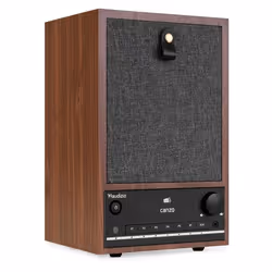 Audizio Canzo Radio Internet WiFi avec DAB/FM et Bluetooth - Noyer Radio au Design Rétro Panneau Amovible