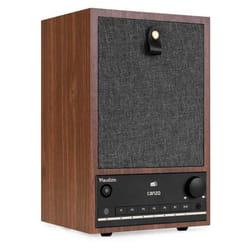 Audizio Canzo Radio Internet WiFi avec DAB/FM et Bluetooth - Noyer Radio au Design Rétro Panneau Amovible