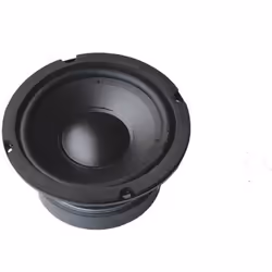 Fenton WPP13 Haut-parleur de graves - Cône 5.25 pouces (13 cm) 150 Watts max Suspension mousse Bobine résistante à la chaleur