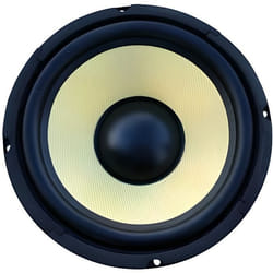 Fenton WK20 - Haut-parleur cône 8 pouces (20 cm) 500 Watts 250 Watts RMS HP boomer séparé Basses fréquences 8 Ohms