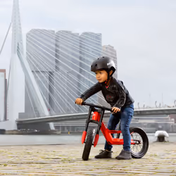 BERG Vélo d’équilibre Biky City Rouge