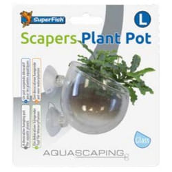 SuperFish A4060200 Ornement décoratif d'aquarium Vert, Transparent 1 pièce(s)