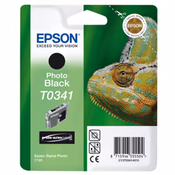 Epson Chameleon Cartouche "Caméléon" - Encre UltraChrome N - Vue supplémentaire 2