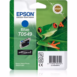 Epson Cartouche "Grenouille" - Encre UltraChrome Hi-Gloss B, Encre à pigments, 13 ml, 1 pièce(s)