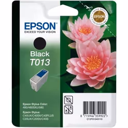 Epson Cartouche "Fleur" - Encre QuickDry N