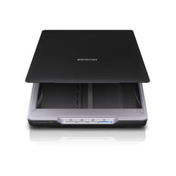 Epson Perfection V19 Numérisation à plat 4800 х 4800 A4 Noir
