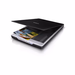 Epson Perfection V19 Numérisation à plat 4800 х 4800 A4 Noir