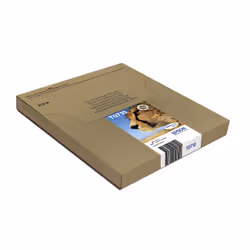 Epson Multipack 4-colours T071 EasyMail - Vue supplémentaire 4