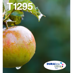 Epson Apple Multipack 4-colours T129 EasyMail, 11,2 ml, 7 ml, 1 pièce(s), Multi pack