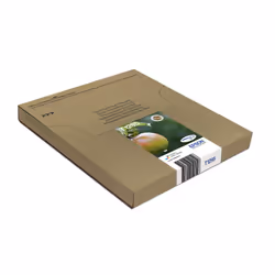 Epson Apple Multipack 4-colours T129 EasyMail - Vue supplémentaire 4