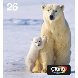 Epson Polar bear Multipack 4-colours 26 EasyMail, Rendement standard, Encre à pigments, Encre à colorant, 6,2 ml, 4,5 ml, 1 p ...