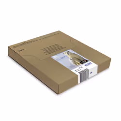 Epson Polar bear Multipack 4-colours 26 EasyMail - Vue supplémentaire 4