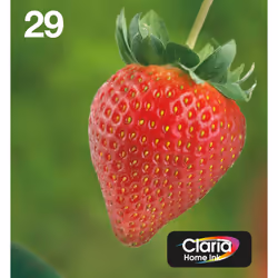 Epson Strawberry Multipack EasyMail "Fraise" 29 - Encre Claria Home N,C,M,J, Rendement standard, 5,3 ml, 3,2 ml, 1 pièce(s), ...