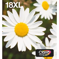 Epson Daisy Multipack EasyMail "Pâquerette" 18XL - Encre Claria Home N,C,M,J, Rendement élevé (XL), 11,5 ml, 6,6 ml, 1 pièce( ...