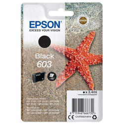 Epson Singlepack Black 603 Ink
