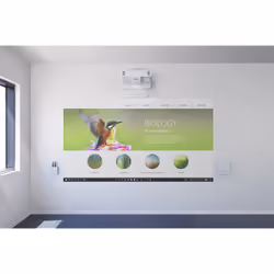 Epson EB-1485Fi - Vue supplémentaire 9