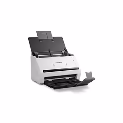 Epson WorkForce DS-770II Alimentation papier de scanner 600 x 600 DPI A3 Noir, Blanc