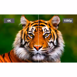 Epson EH-LS11000W - Vue supplémentaire 21