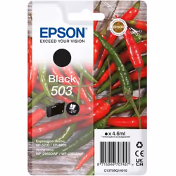 Epson 503, Rendement standard, 4,6 ml, 1 pièce(s), Paquet unique