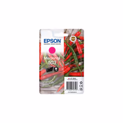 Epson 503, Rendement standard, 3,3 ml, 165 pages, 1 pièce(s), Paquet unique