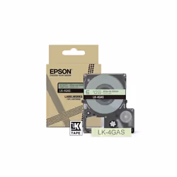 Epson LK-4GAS, Gris, Vert clair, Transfert thermique, LabelWorks LW-C410, 1,2 cm