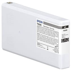 Epson UltraChrome Pro10 cartouche d'encre 1 pièce(s) Compatible Noir