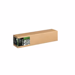 Epson C13S450271NQ, 15 m, 61 cm, 61 cm (24"), Lisse